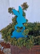 20260305_153107.jpg